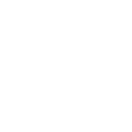 Icon Frisur coiffure s-r Solothurn